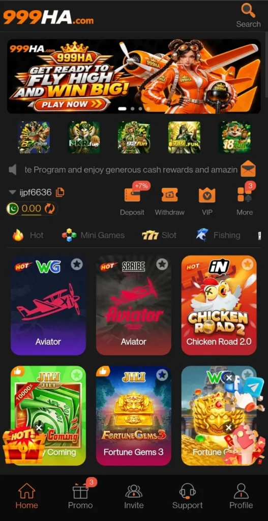 999HA Game Home image